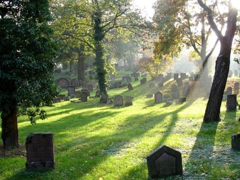 alter Friedhof mit Grabsteinen Bäume Sonne