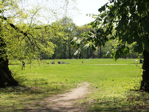 Grünanlage_Treptower Park