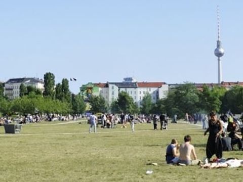 Mauerpark im Sommer