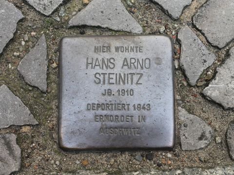 Stolperstein Hans Arno Steinitz