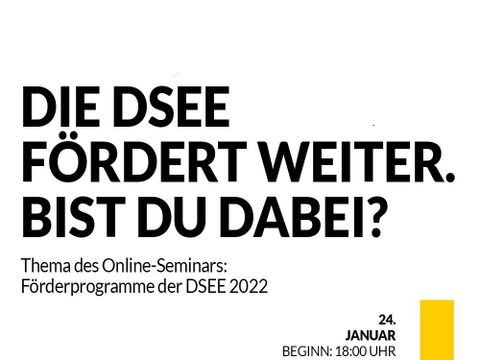 DSEE Online-Seminar Förderprogramme 2022