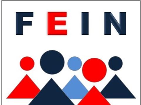 Logo FEIN
