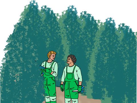 Zwei Männer in Latzhosen stehen im Wald und betrachten die Bäume
