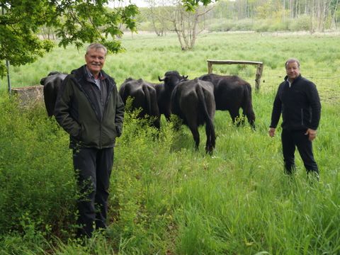 Bildvergrößerung: Landwirt Helmut Querhammer (v.l.) und Bezirksbürgermeister Balzer beim Weideauftrieb im Tegeler Fließ