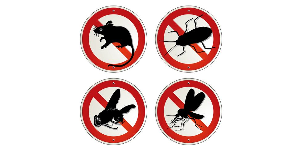 Illustration von 4 Warnschildern, die verschiedene Schädlinge durchgestrichen zeigen.