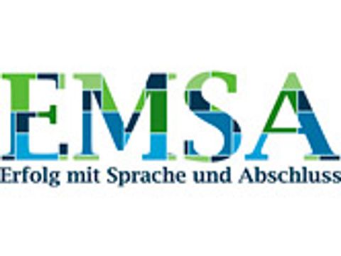 Logo Emsa Teaser