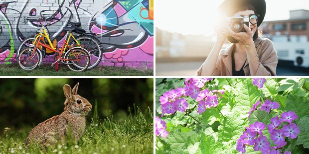 Eine Collage aus vier frühlingshaften Bildern mit Hase, Fahrrädern, Blumen und Fotografin