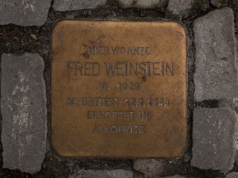 Stolperstein Fred Weinstein
