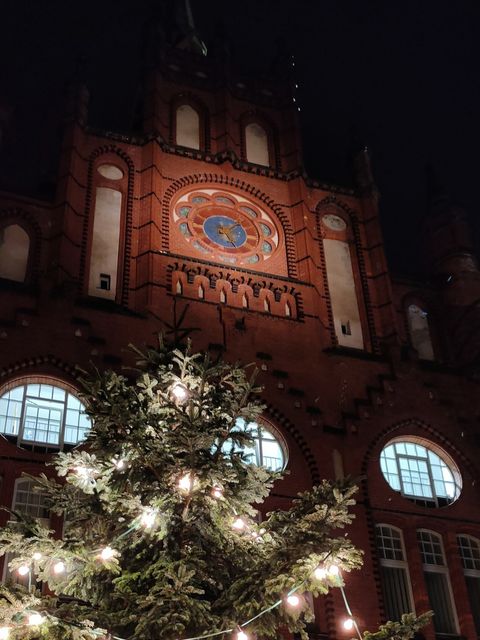 Weihnachtsbaumspitze vor dem Rathaus Lichtenberg