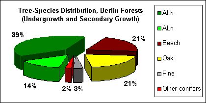 Fig. 3: Tree Species Distribution Berliner Forests (Secondary Growth and Undergrowth)