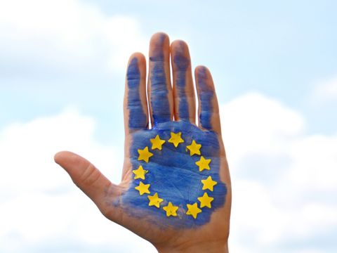 Handinnenfläche mit aufgemalter EU-Flagge