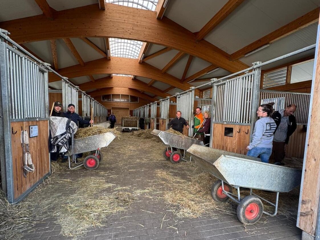 Blick in die Stallung