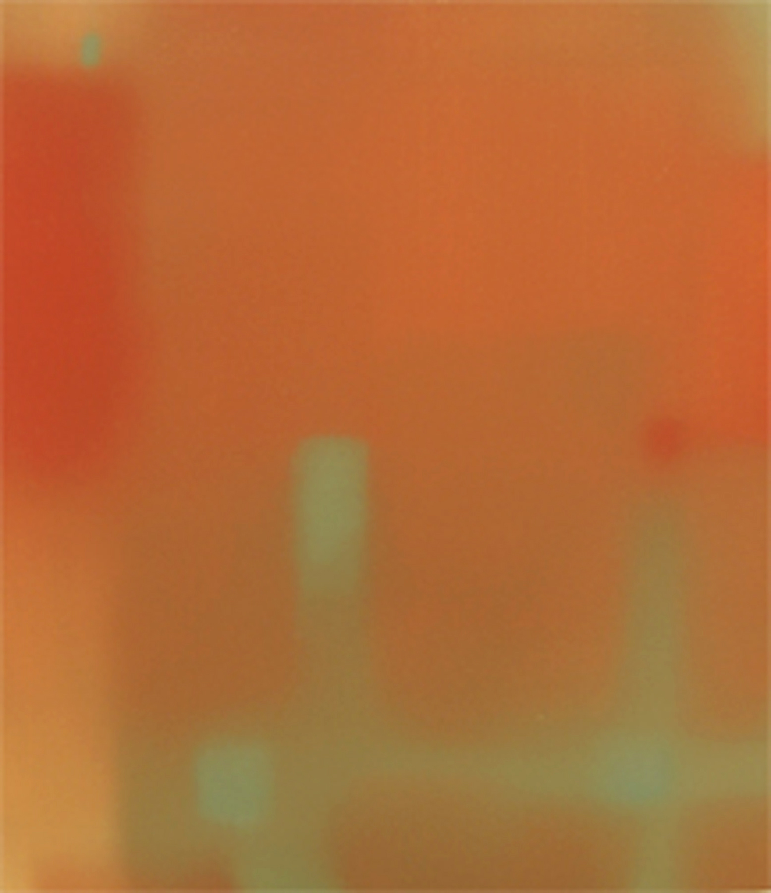 Julian Jackson: Warmth 1, 2006, Öl auf Holz, 45 x 35cm
