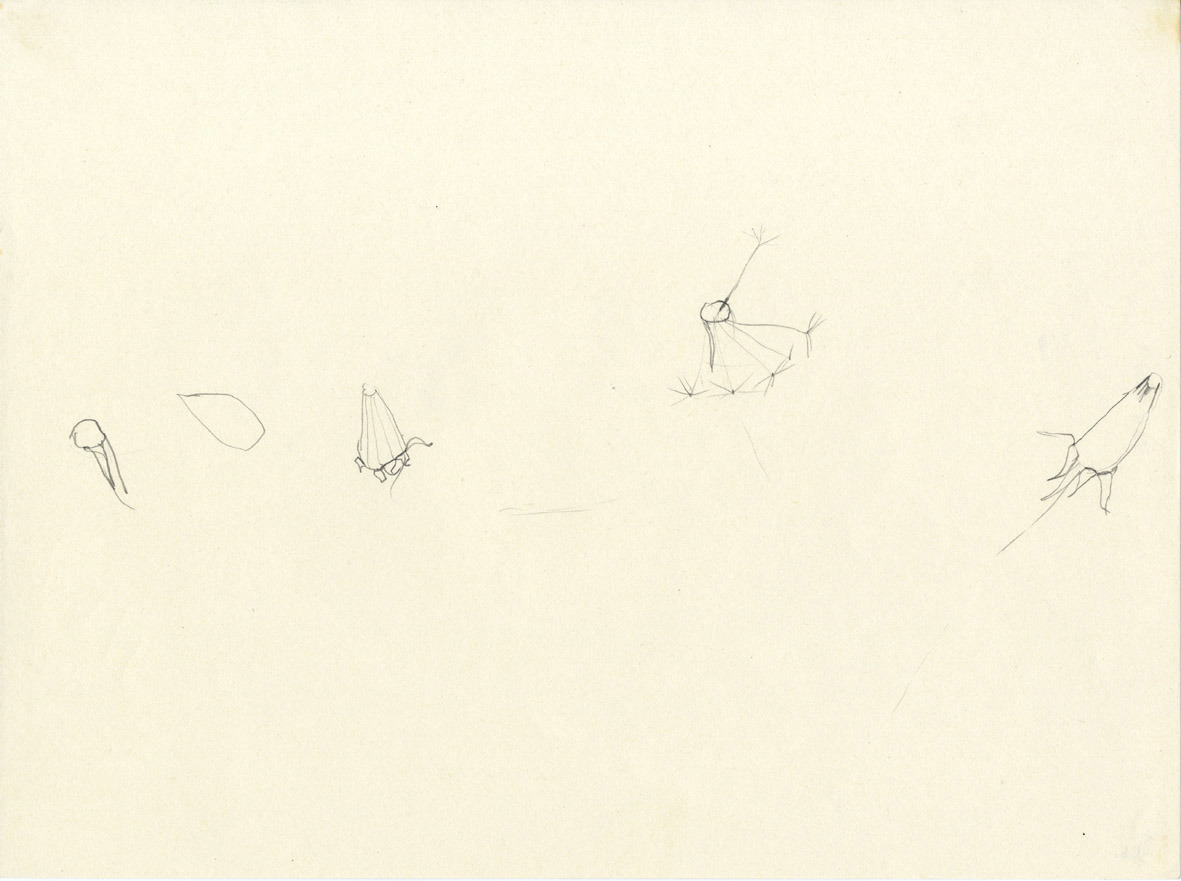 Barbara Camilla Tucholski: Pusteblume, 29.05.1994, Bleistift auf Papier, 24 x 32 cm