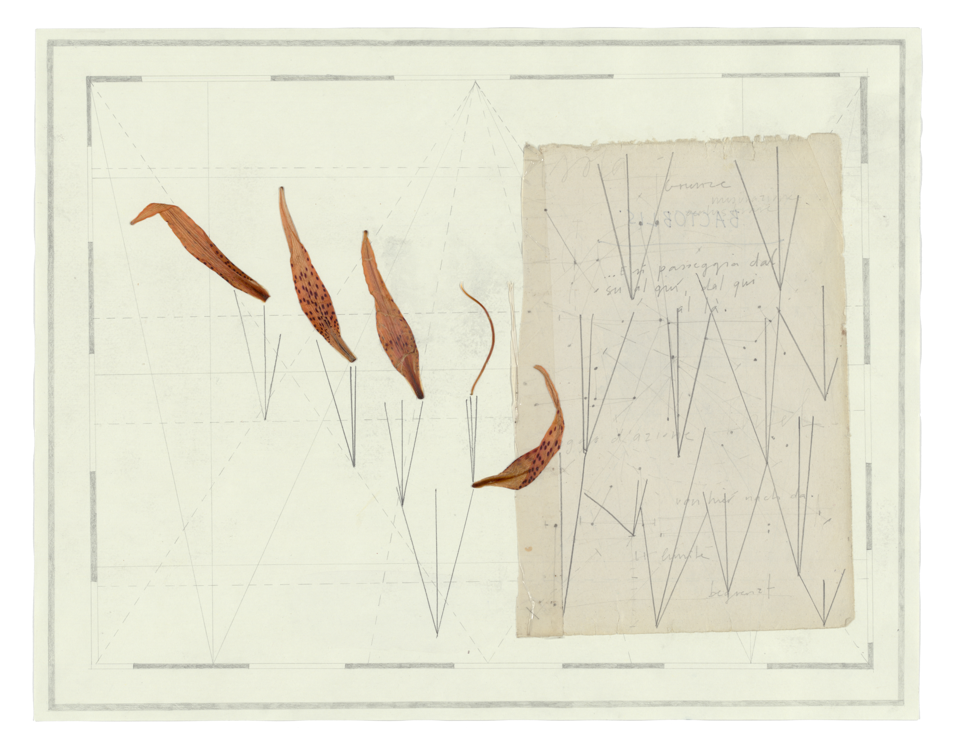 Yvonne Andreini, Confino, 2018, 1-X, Bleistift, Tusche auf Papier