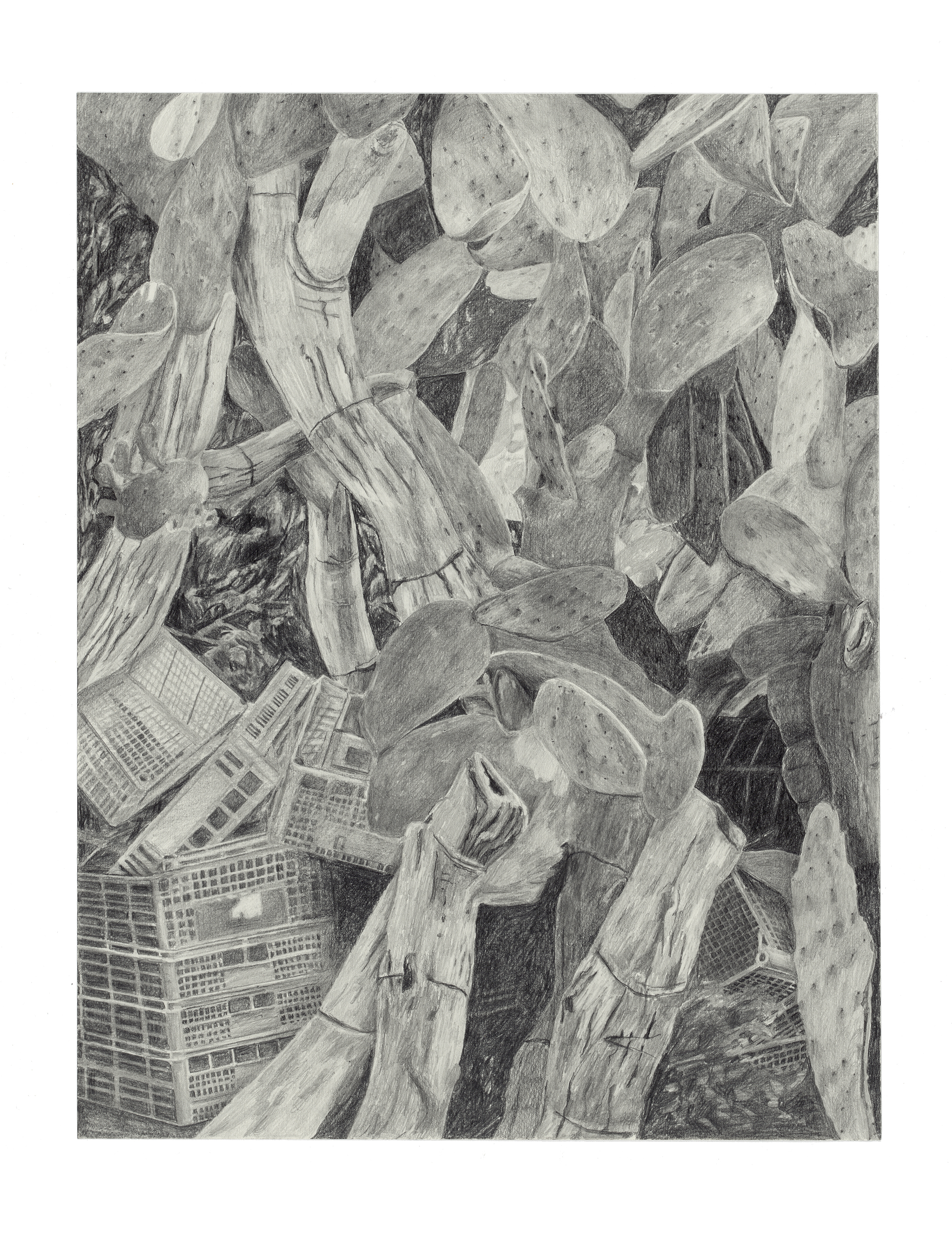 Ulrike von Gueltlingen: Ventotene, 2018, Bleistift auf Papier