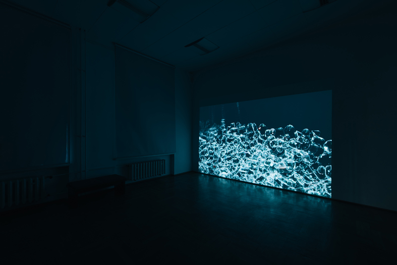 David Krippendorff: Sleepwalking, Video, 2019