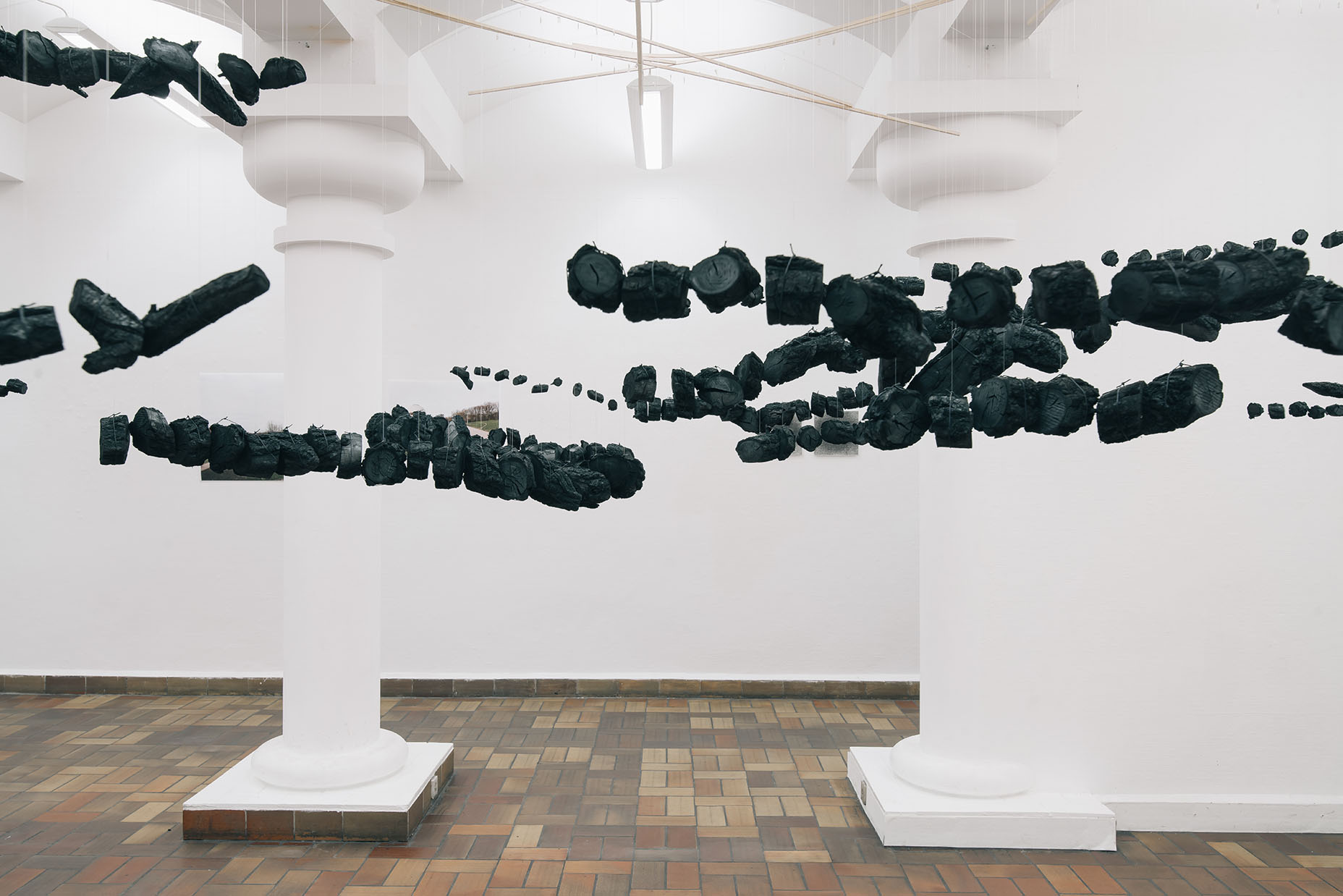 Ulrike Mohr: Time in a tree, Robinienkohle, 2020