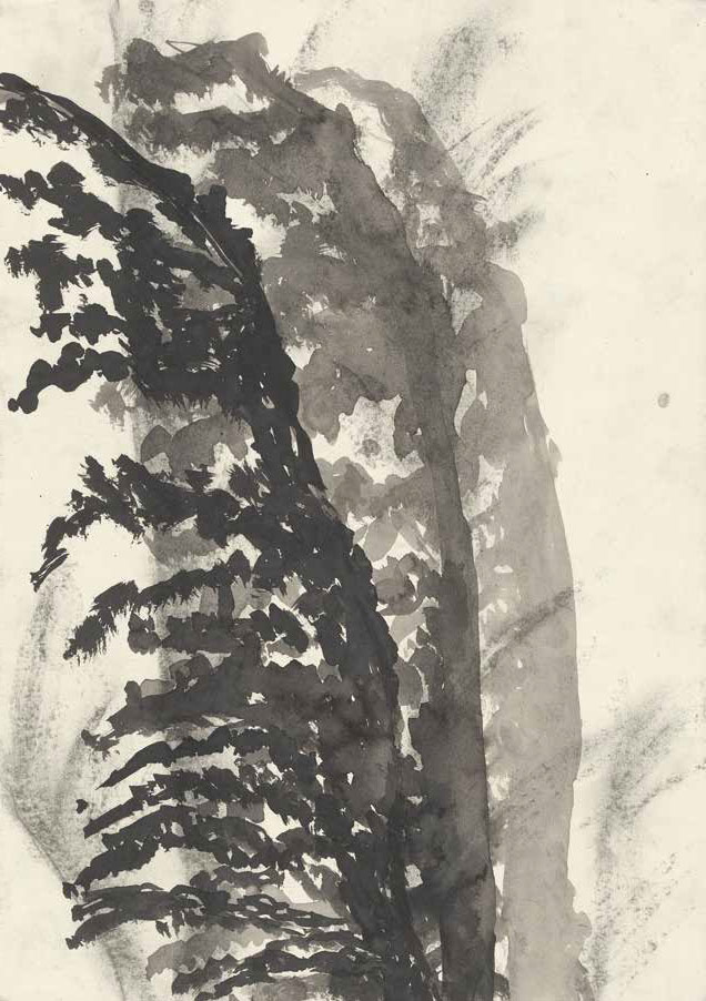 Havin Al-Sindy - Bewegungen sichten · 2018–2020 · Tusche, Kohle auf Papier · 42 x 29 cm