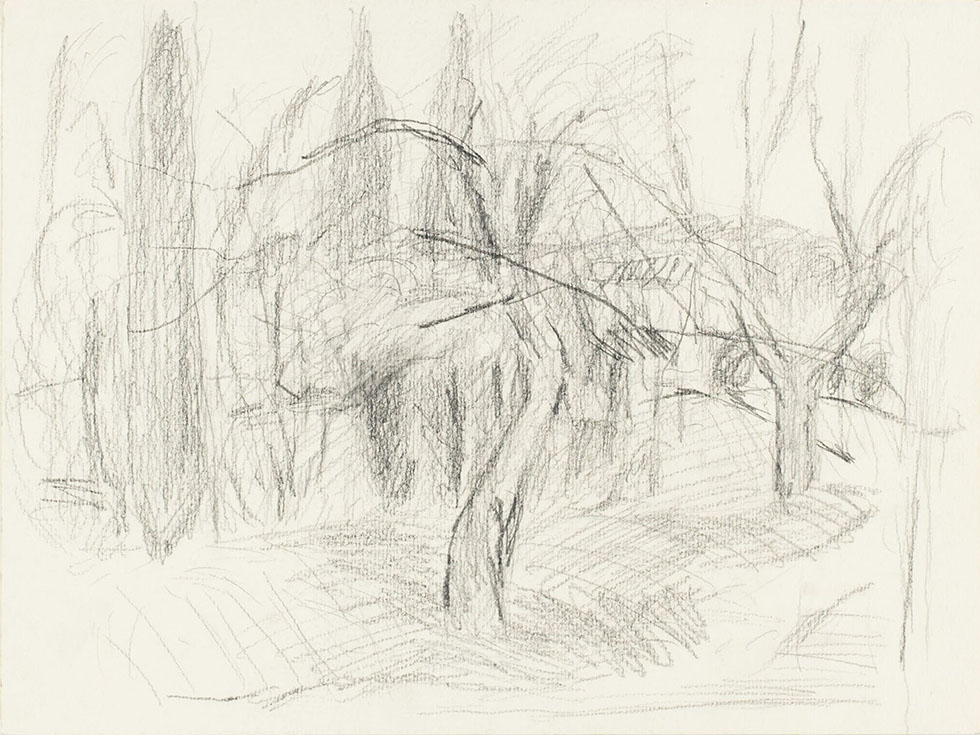 Brigitte Handschick, o.T. (Bäume), o.J., Bleistift auf Papier, 24 x 32 cm