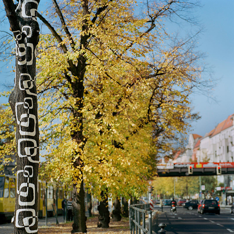 Kunstwettbewerb, 2008, Josefine Günschel, "innenhaut - aussenhaut"
