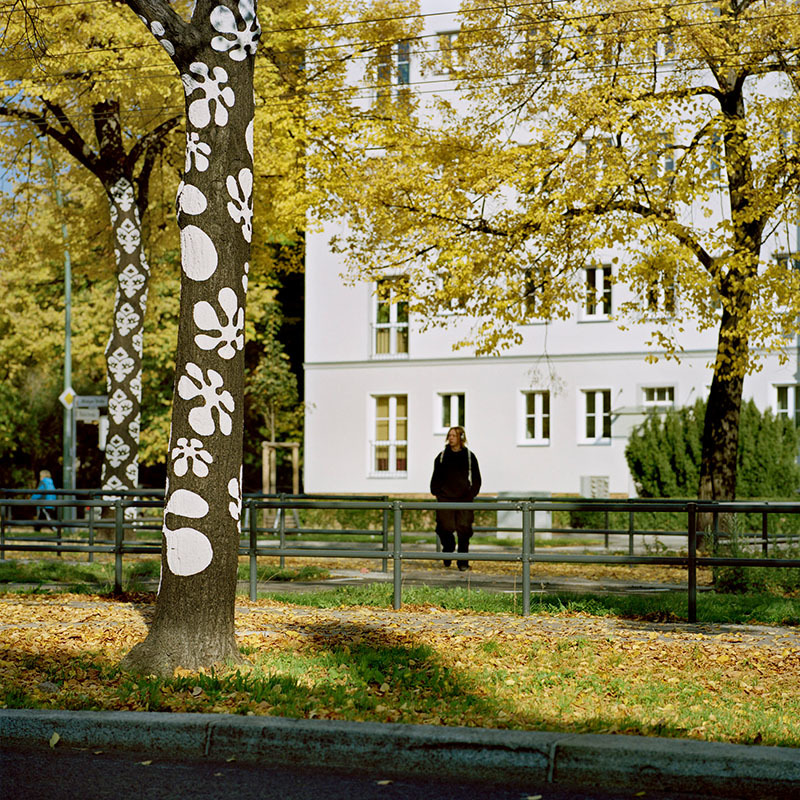 Kunstwettbewerb, 2008, Josefine Günschel, "innenhaut - aussenhaut"