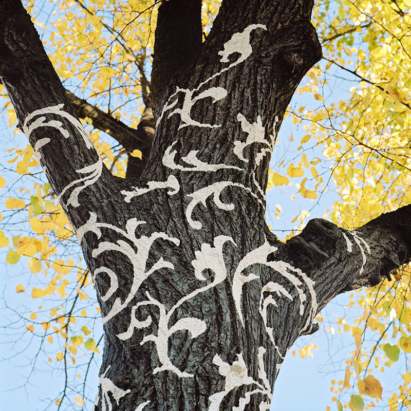 Kunstwettbewerb, 2008, Josefine Günschel, "innenhaut - aussenhaut"