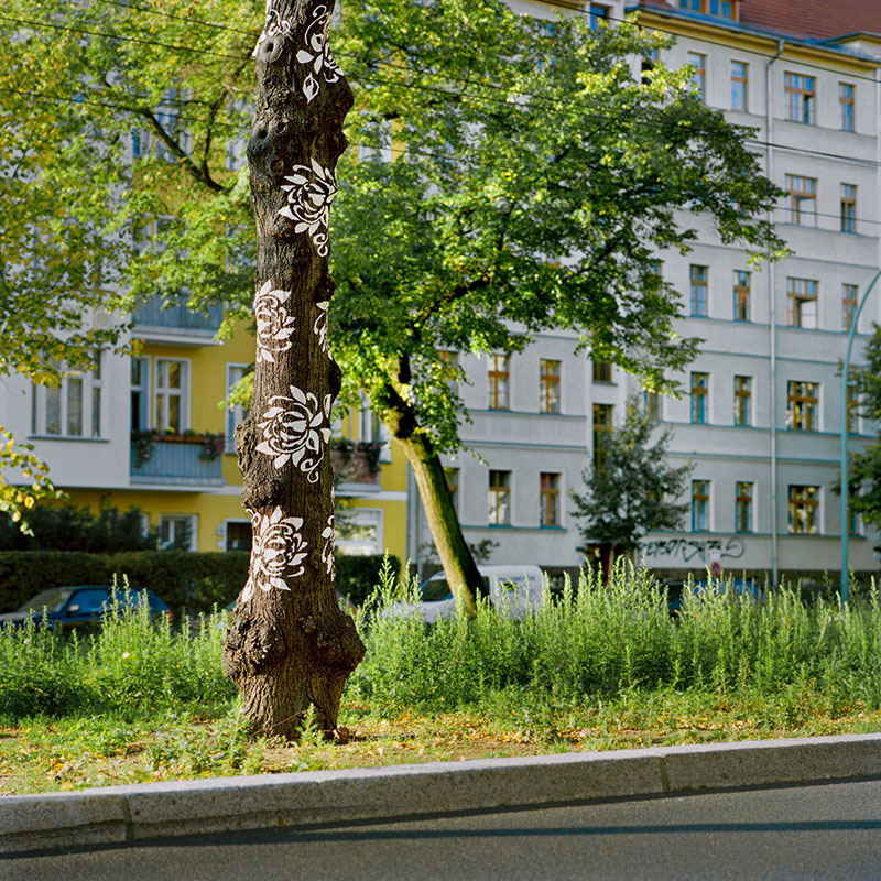 Kunstwettbewerb, 2008, Josefine Günschel, "innenhaut - aussenhaut"