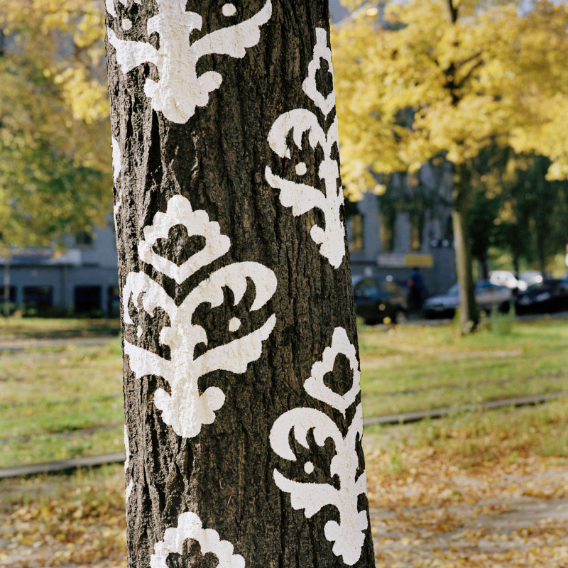 Kunstwettbewerb, 2008, Josefine Günschel, "innenhaut - aussenhaut"