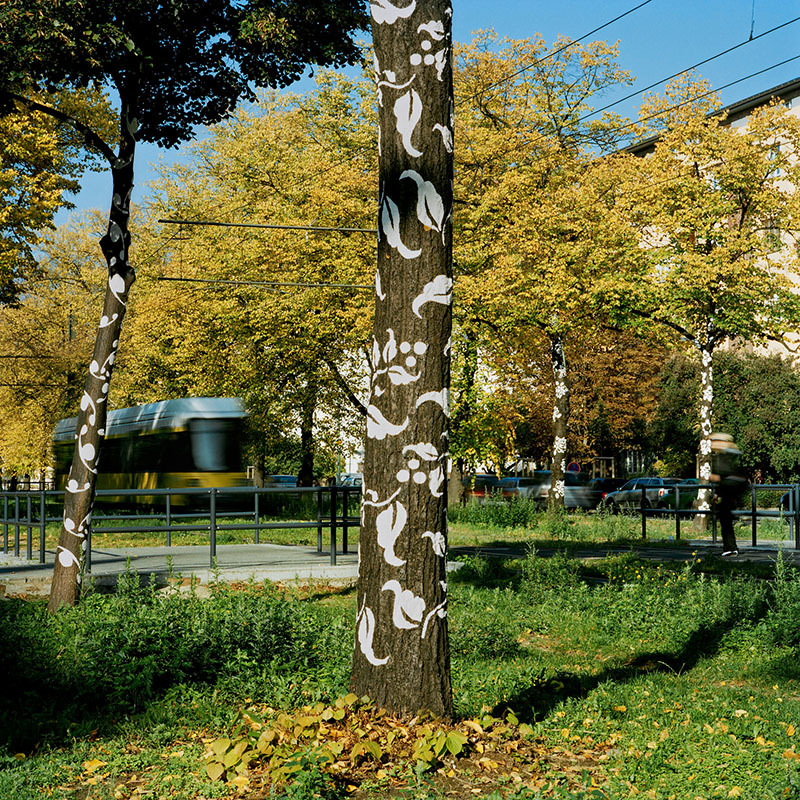 Kunstwettbewerb, 2008, Josefine Günschel, "innenhaut - aussenhaut"