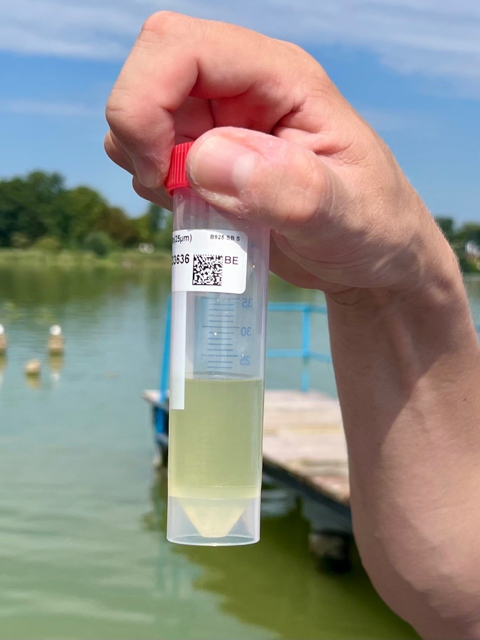 Ein Mitarbeiter des Landeslabors zeigt die frische Wasserprobe von einer Berliner Badestelle in einem Reagenzglas