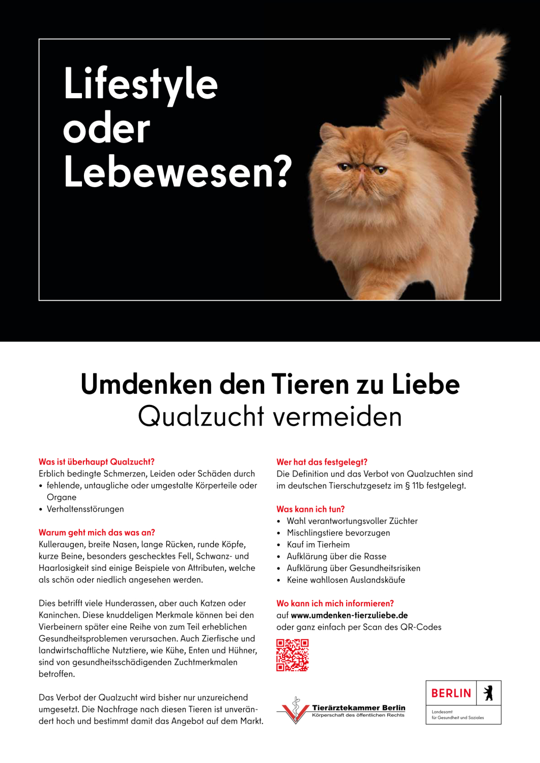 tierschutz-kampagnen-berlin-de