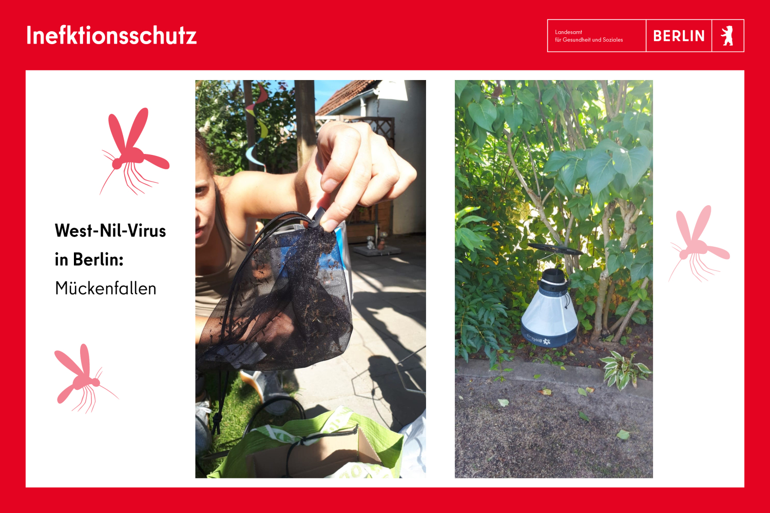 West-Nil-Virus: Zwei Fotos von Mückenfallen