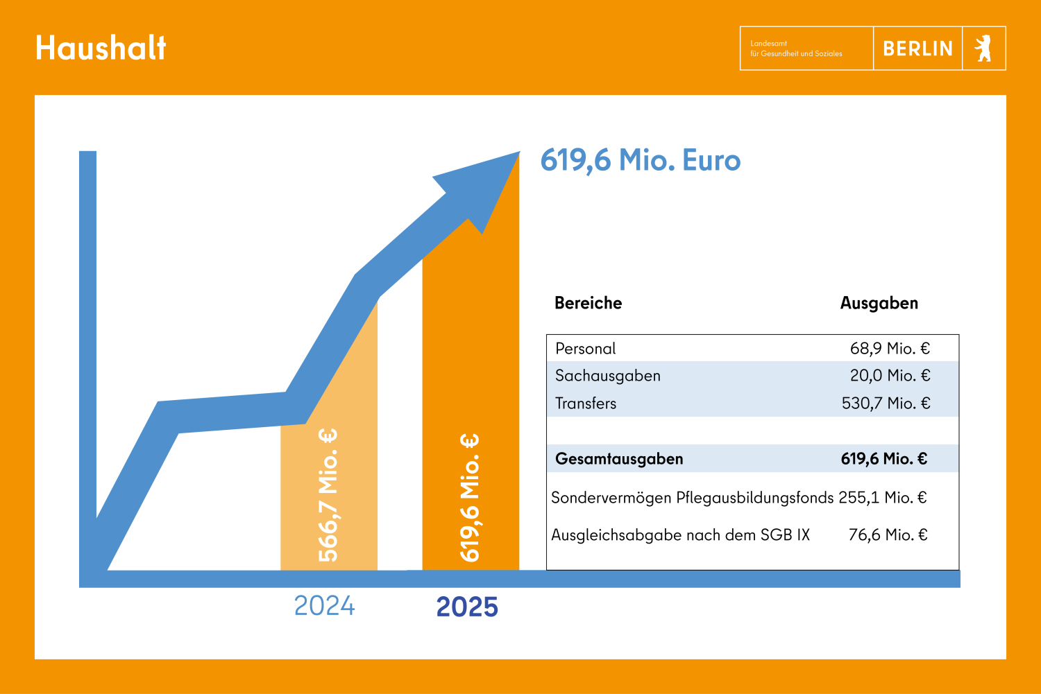 Haushalt 2025 Gesamtausgaben 619 Mio. Euro, Pflegeausbildungsfonds 255 Mio. Euro, Ausgleichsabgabe 76 Mio. Euro.