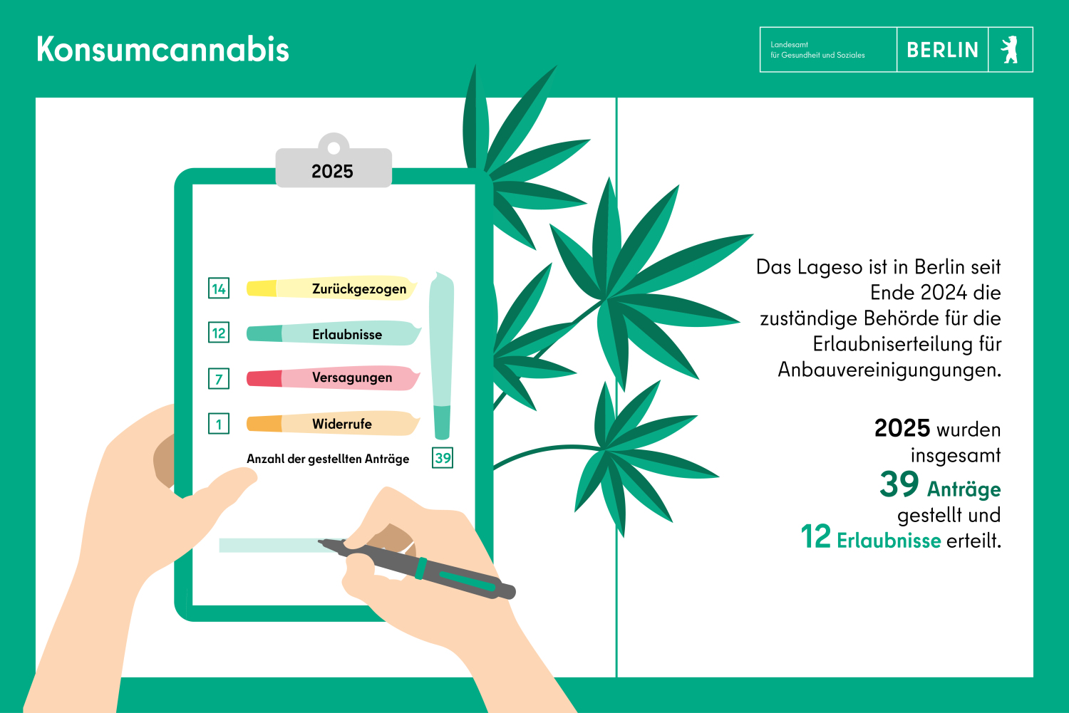 Konsumcannabis mit einer Blüte einer Hanfpflanze