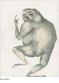  Frosch  Bild: Niedlich LebeWesen Handzeichnungen von Johannes Karl Gotthard Niedlich