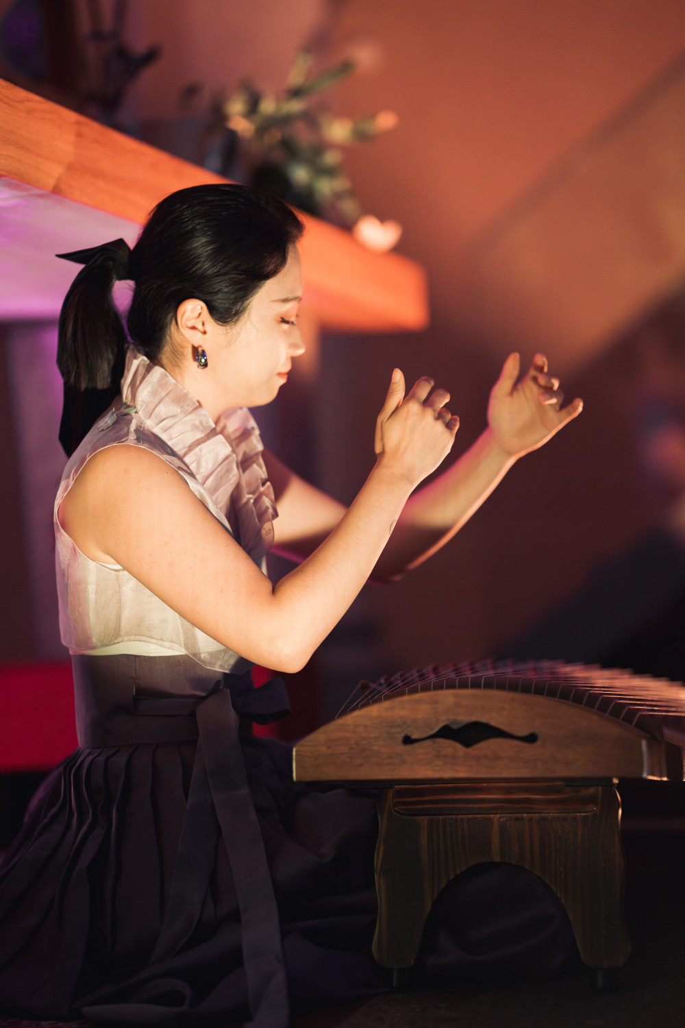 Hyunjeong Park / Gayageum
