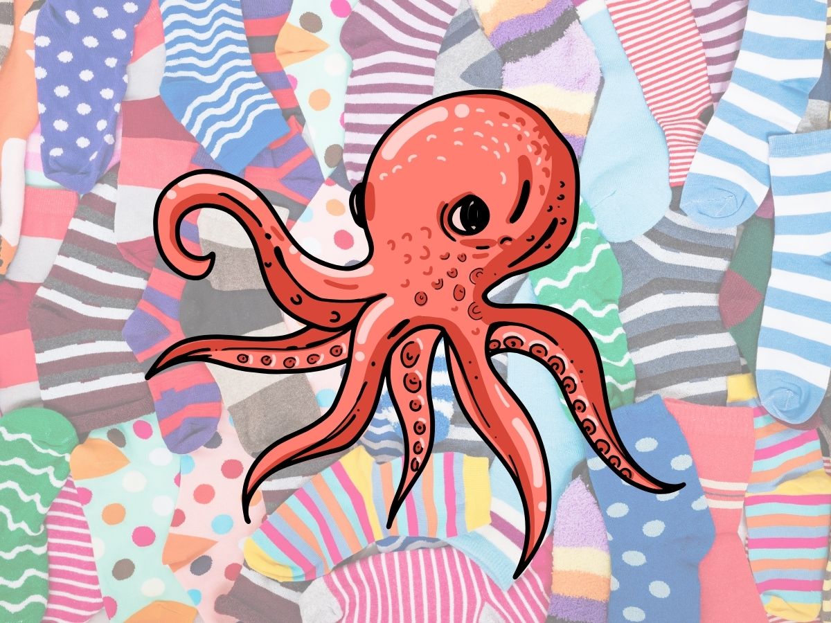 Earth Day 2026 in der Stadtteilbibliothek Reinickendorf-West