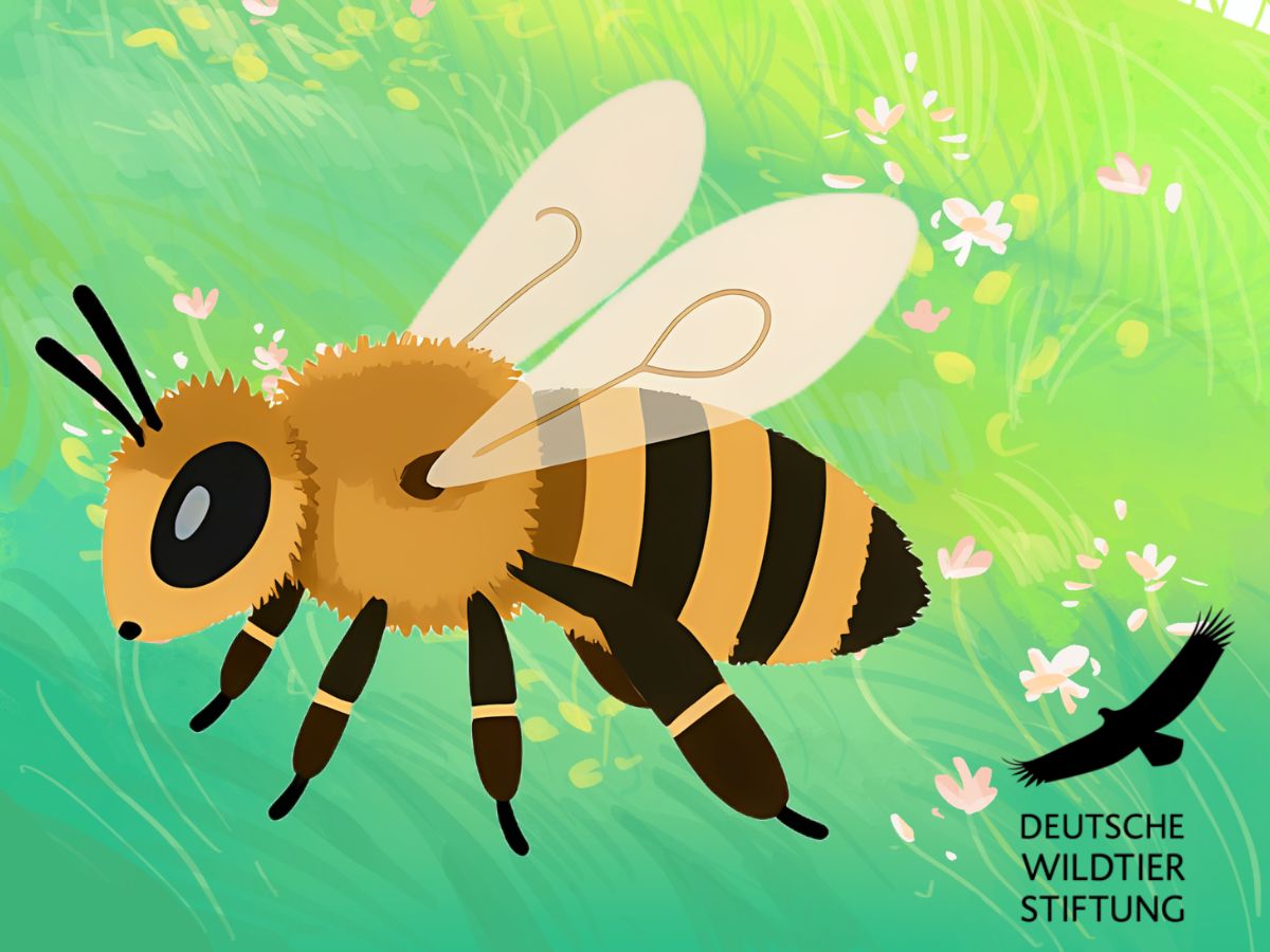 Meet & Greet mit der Deutschen Wildtier Stiftung