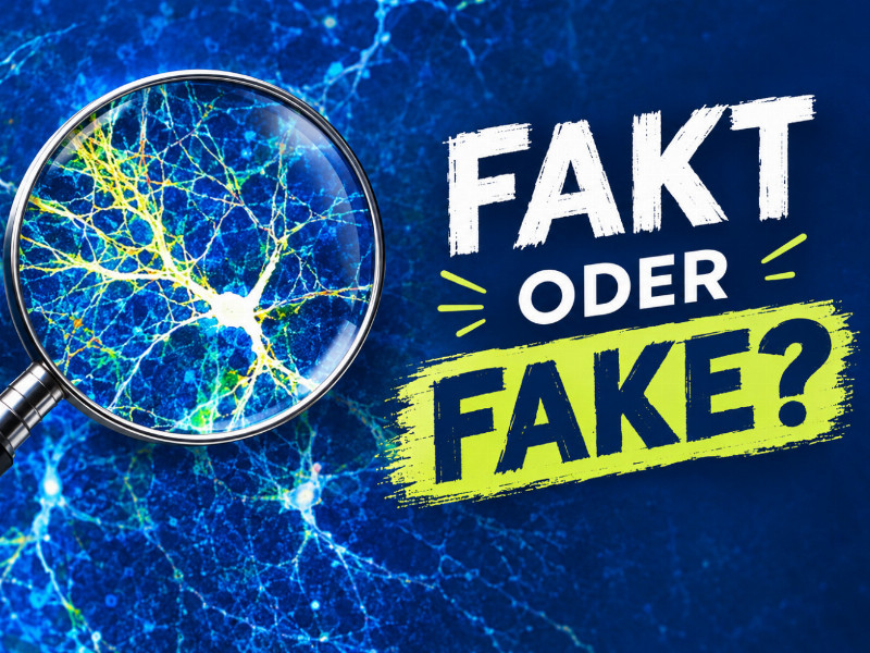 Fakt or Fake - Wissensquiz für Jugendliche und Erwachsene