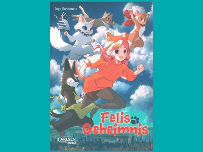 Buchcover Felis Geheimnis