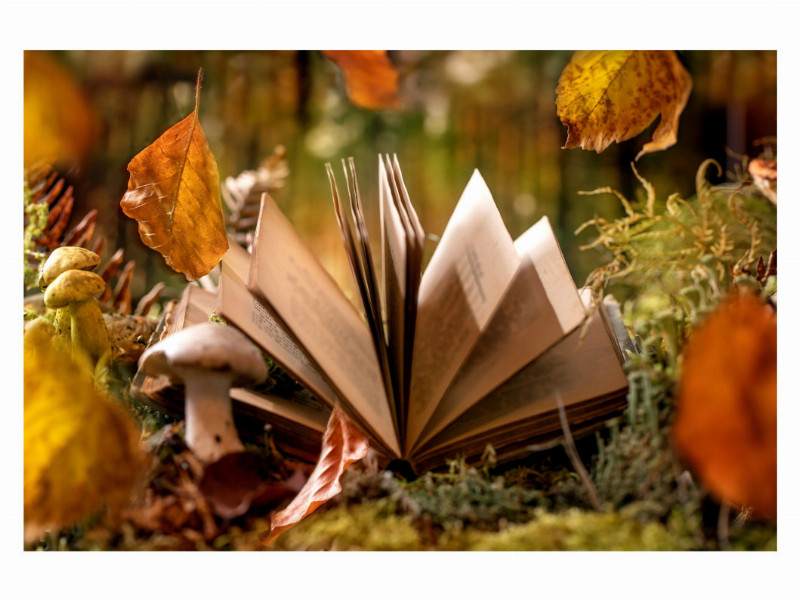 Herbstliches Buch 