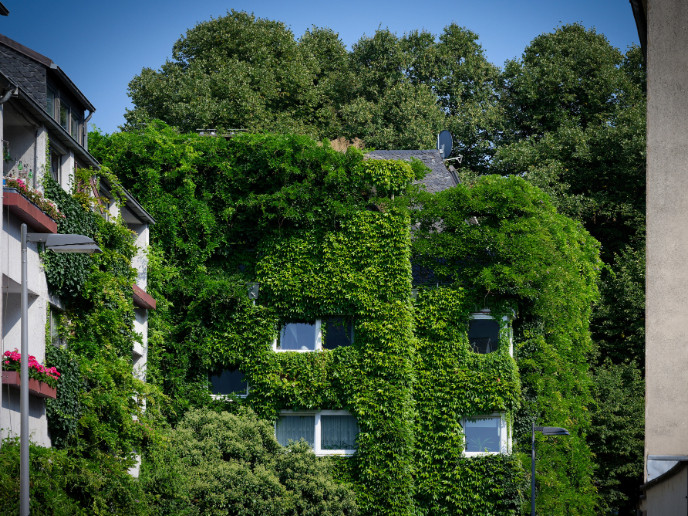 Haus mit Begrünung
