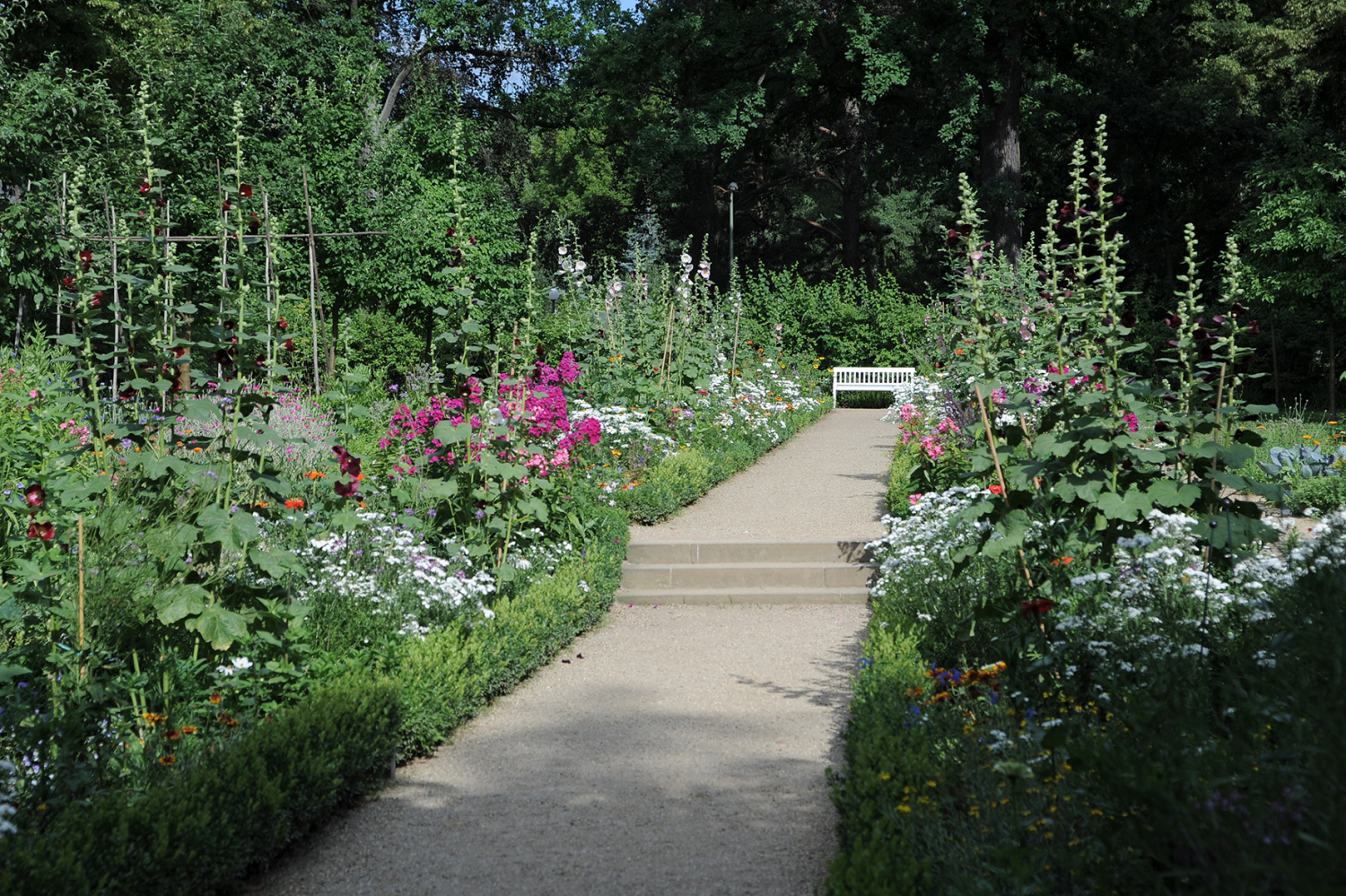 Ein besonderer Blick in den Garten Liebermann