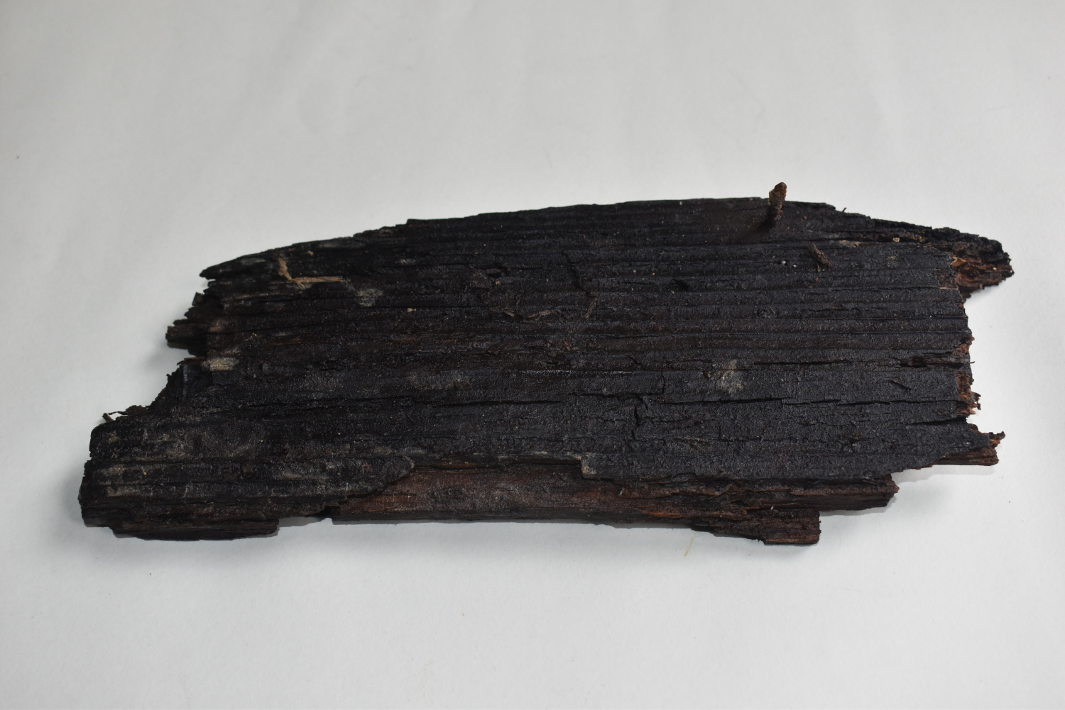 Teil eines Holzbrettes mit Nagel aus dem Tunnelinneren