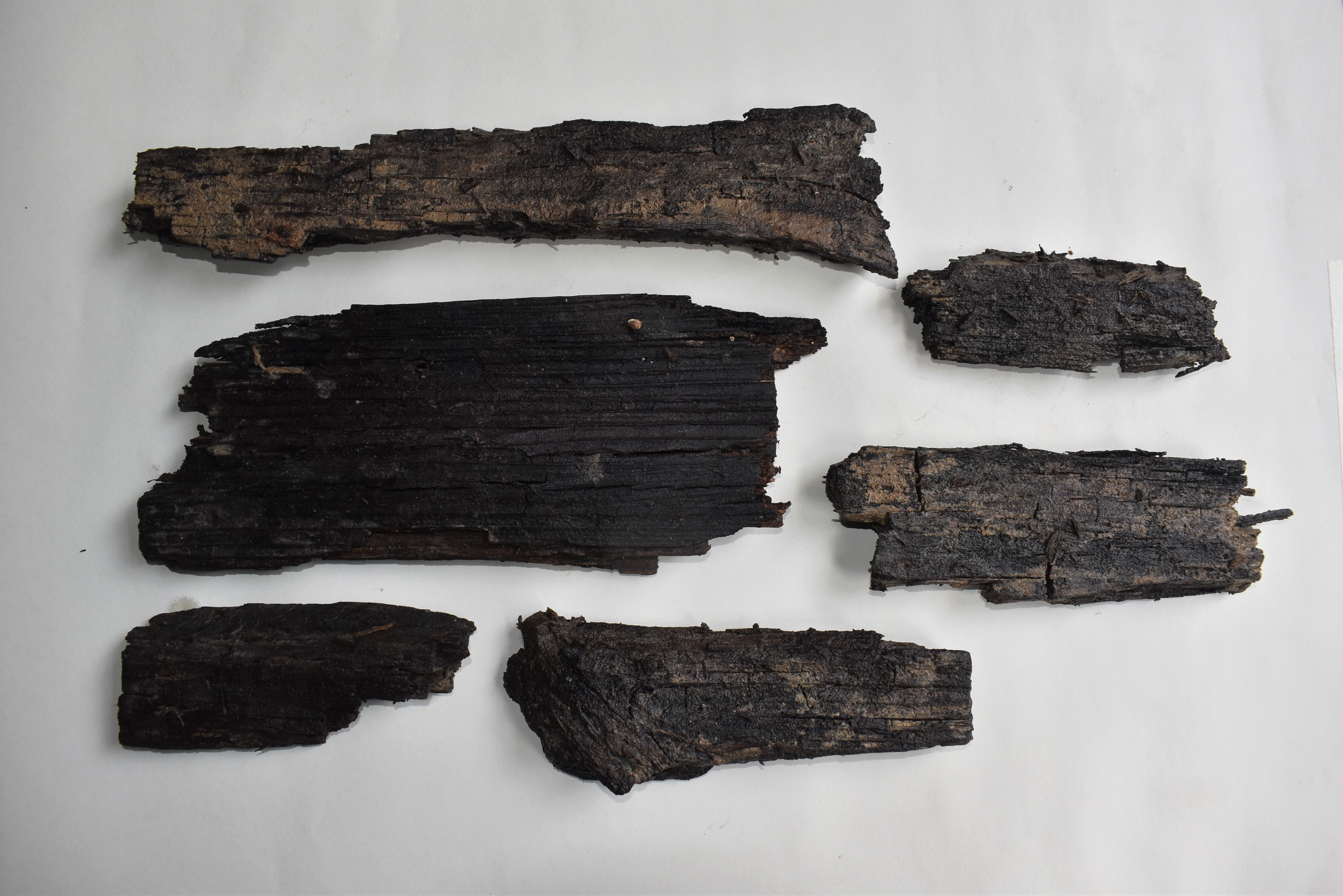 Gesamtheit der geborgenen Holzfragmente aus dem Tunnelinneren