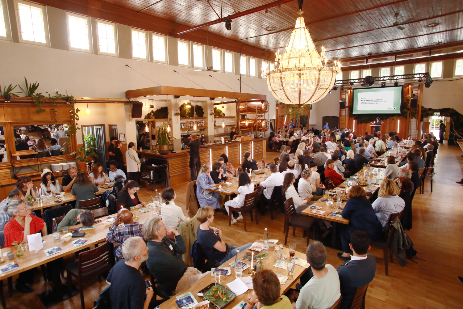 Impressionen des Sommerfests