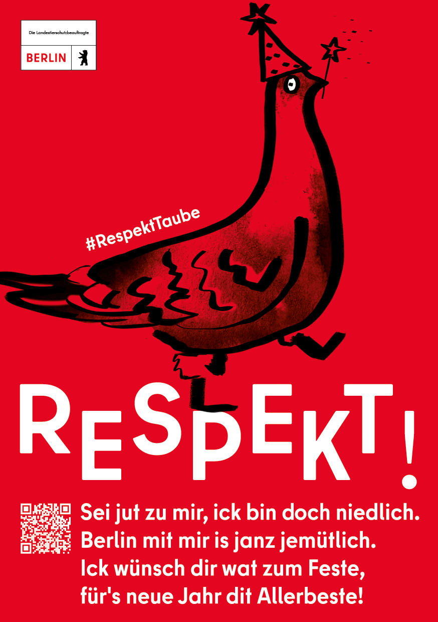 skizzierte Taube mit der Aufschrift Respekt und wünsche zum Weihnachtsfeste