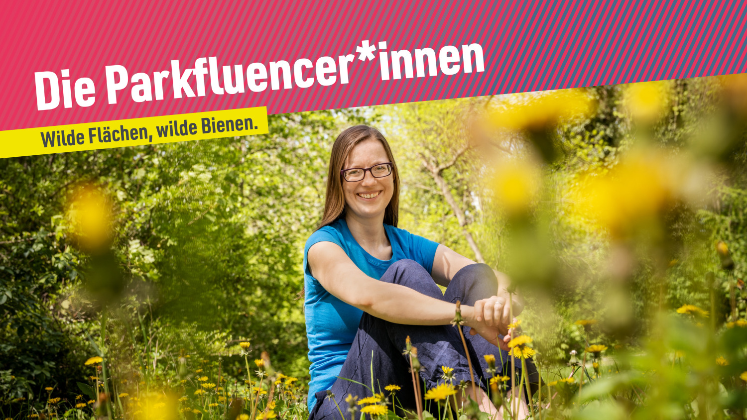 video-bramke