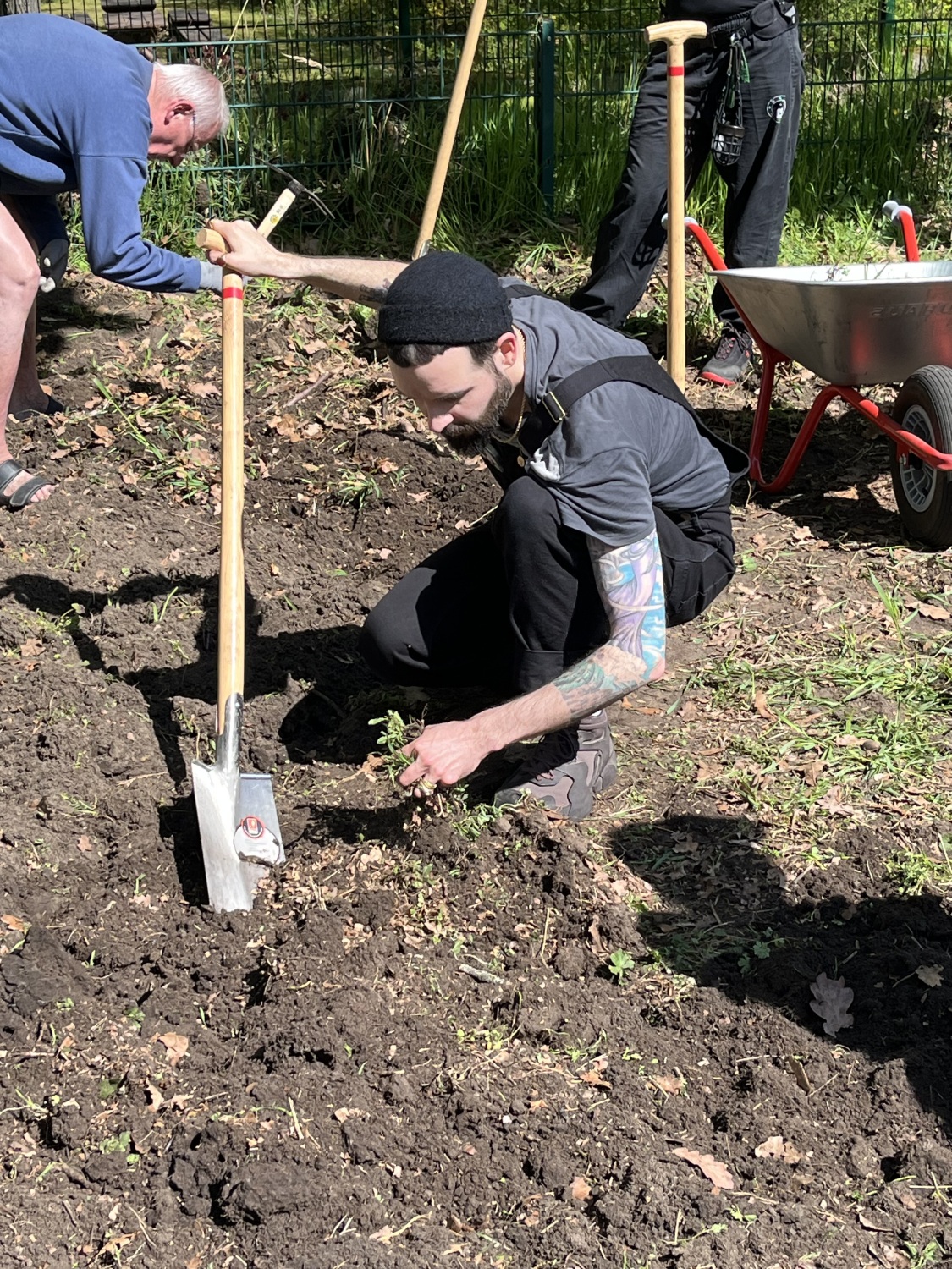 Bild der Initiative Kreisler e.V. von der Anlage einer Wildblumenwiese